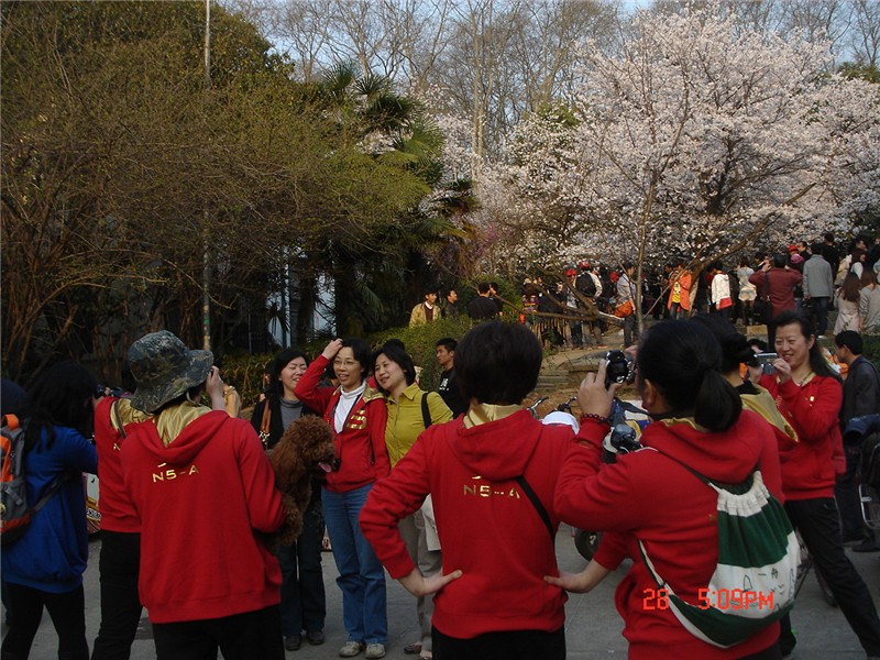 dsc00289_.jpg