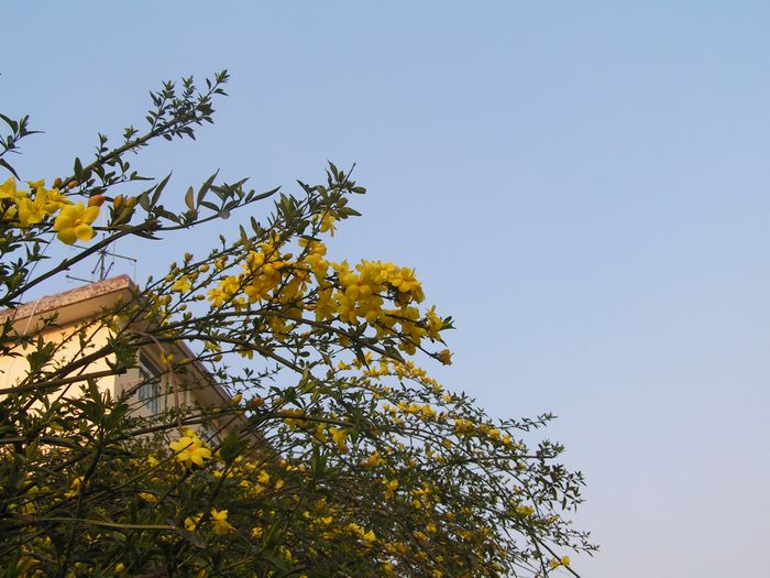 pict0006-2.jpg