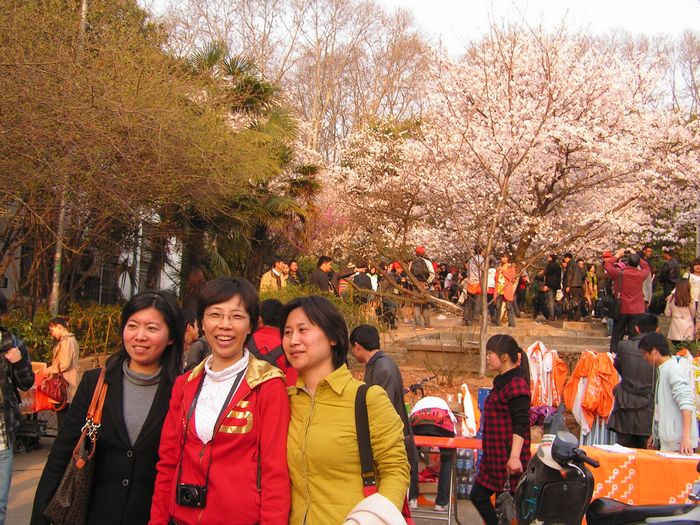 pict0008-2.jpg