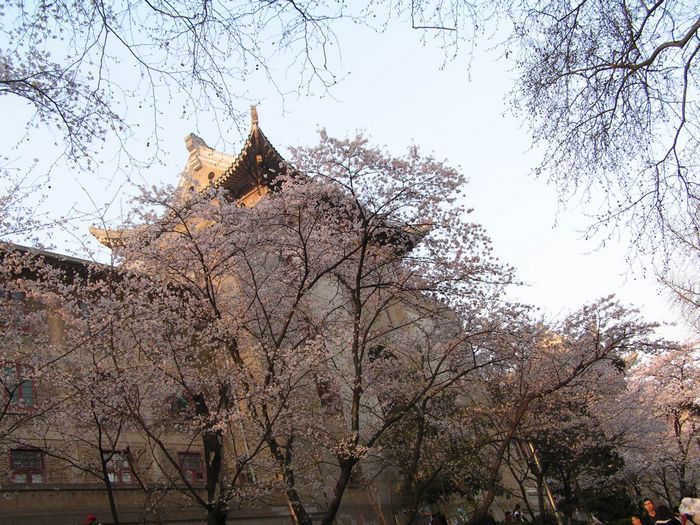 pict0015-2.jpg