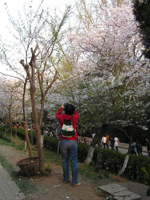 pict0020-2.jpg