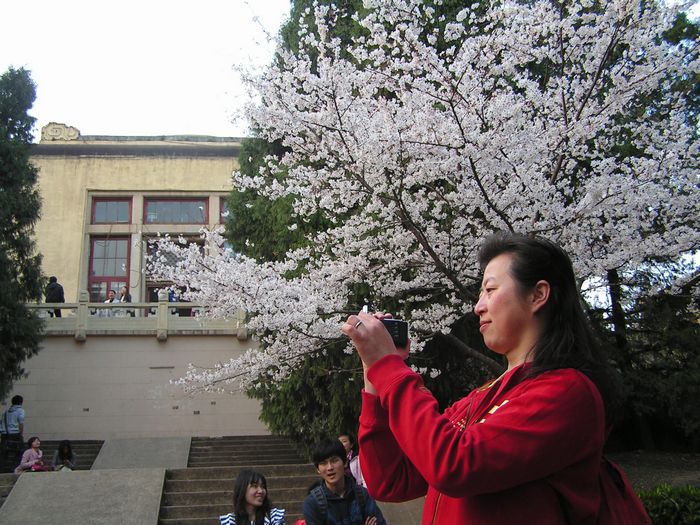 pict0036-2.jpg