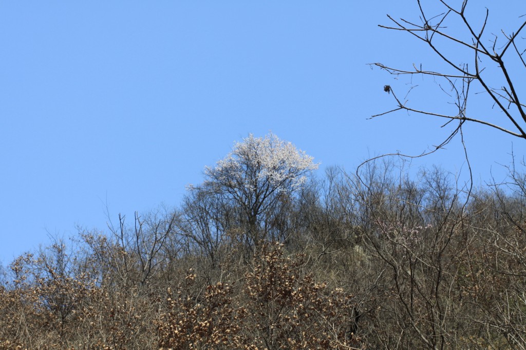 img_5854.jpg