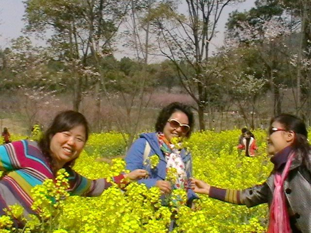 imga0737.jpg