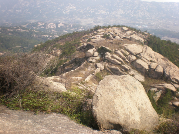 20110327_70.jpg