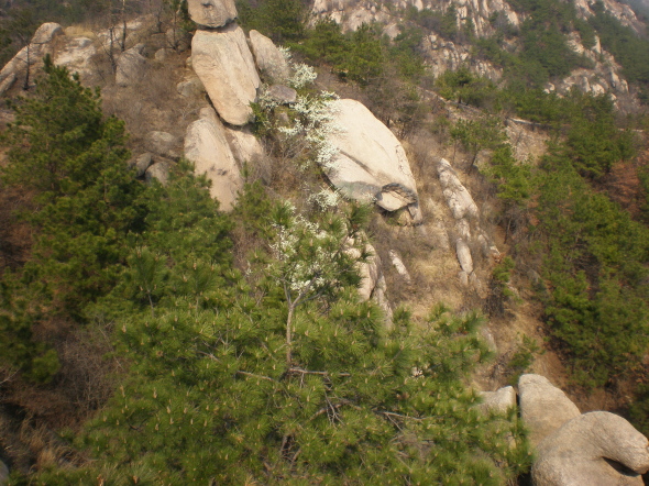 20110327_68.jpg