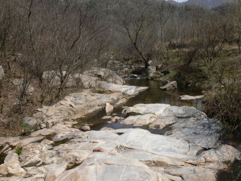 p1130829.jpg
