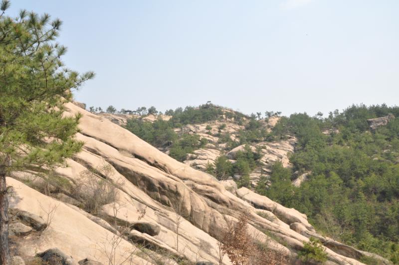 dsc_1515.jpg