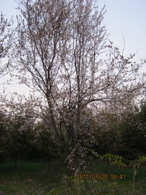img_1755.jpg