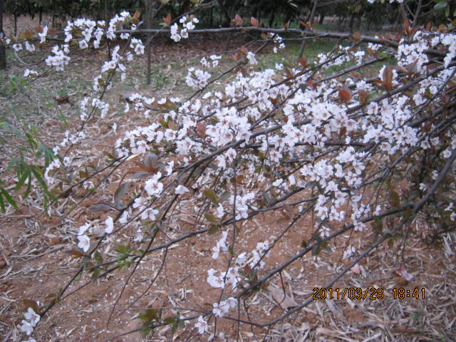 img_1756.jpg