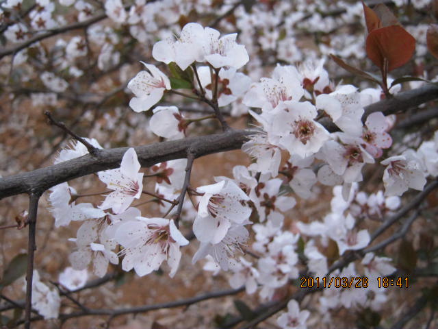 img_1757.jpg