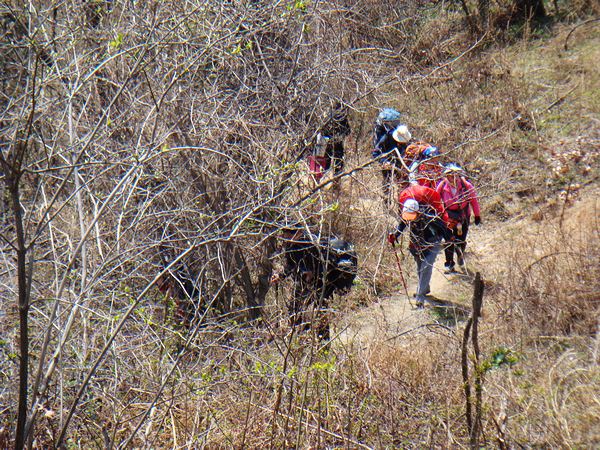 dsc05995.jpg