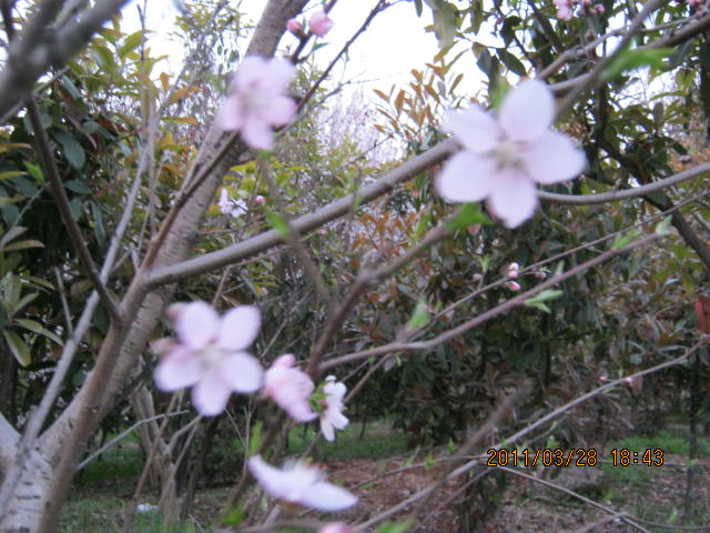 img_1760.jpg