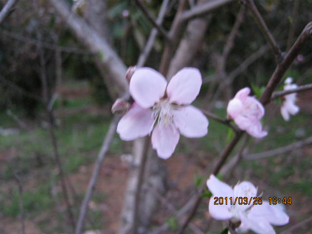 img_1761.jpg
