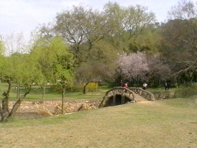 imga0715.jpg