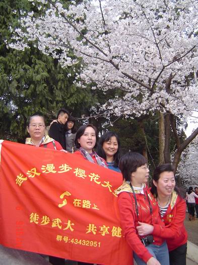 p dsc00248.jpg