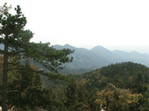 ˫ 094.jpg