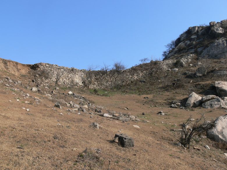 p1130913.jpg