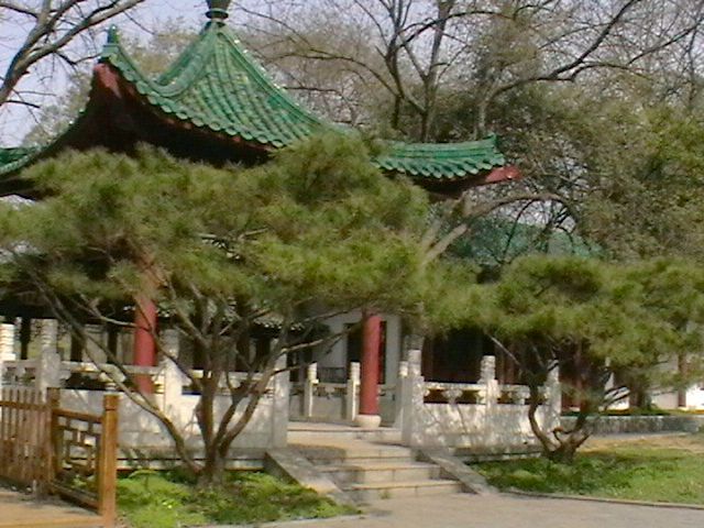 imga0716.jpg