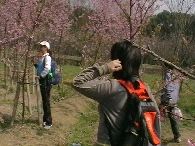 imga0719.jpg