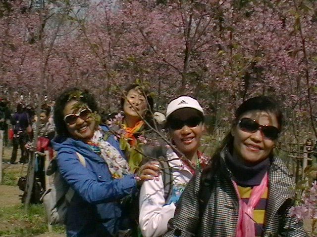 imga0721.jpg