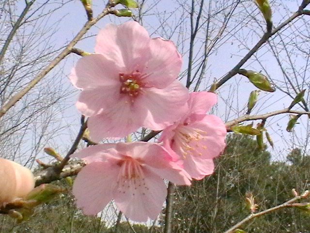 imga0724.jpg