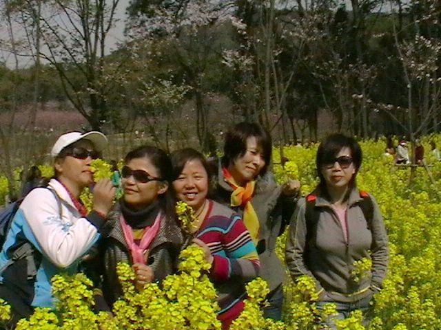 imga0729.jpg