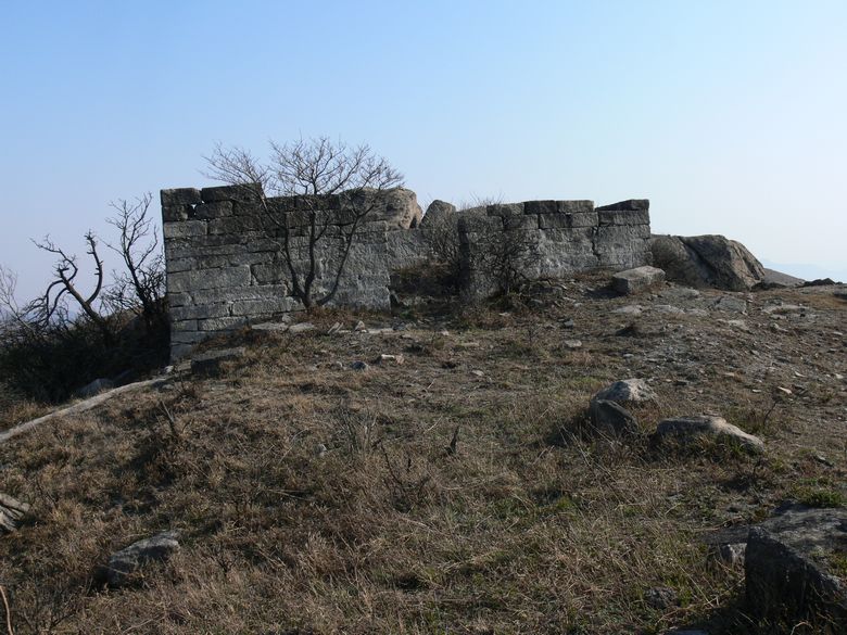 p1130920.jpg