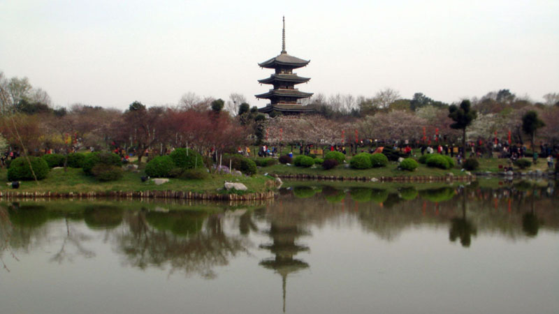 dsc03051.jpg