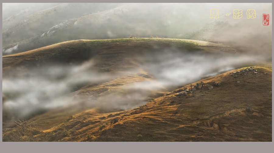 dsc_1315-2.jpg