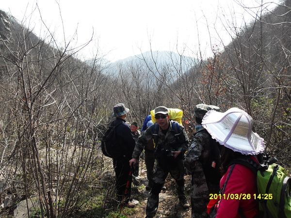 sdc13174.jpg