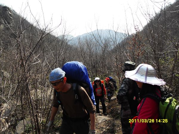 sdc13175.jpg