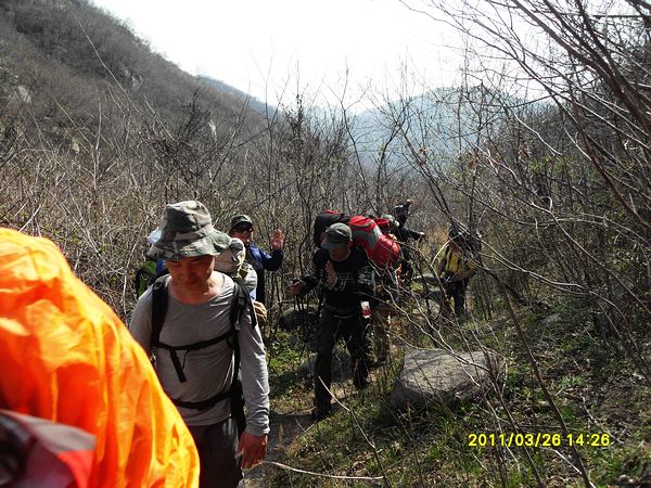 sdc13177.jpg