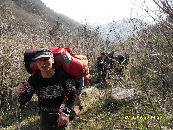 sdc13178.jpg