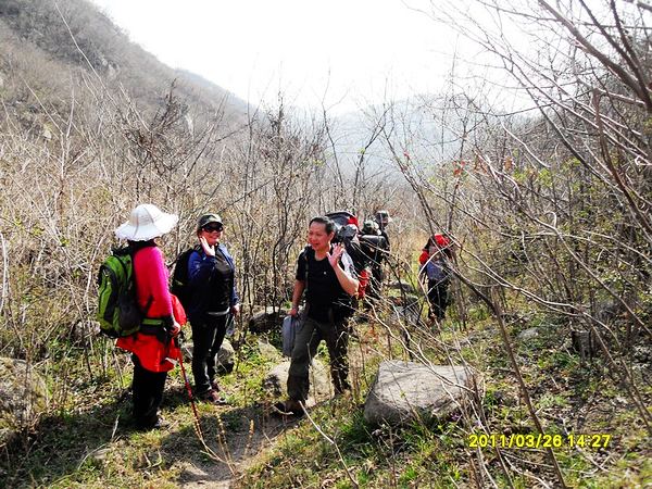 sdc13180.jpg