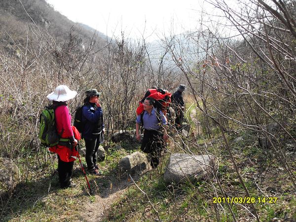 sdc13181.jpg