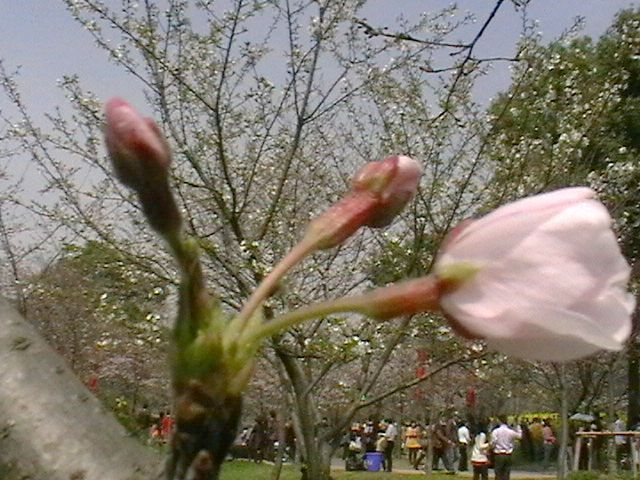 imga0780.jpg