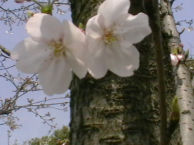 imga0778.jpg