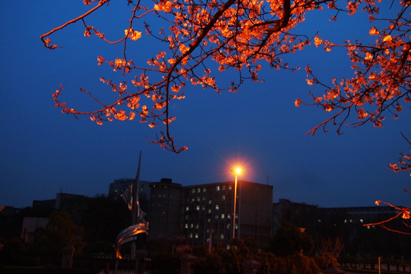 k1266624.jpg