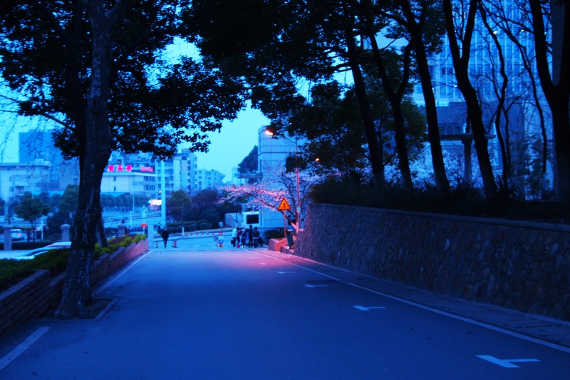 k1266588.jpg