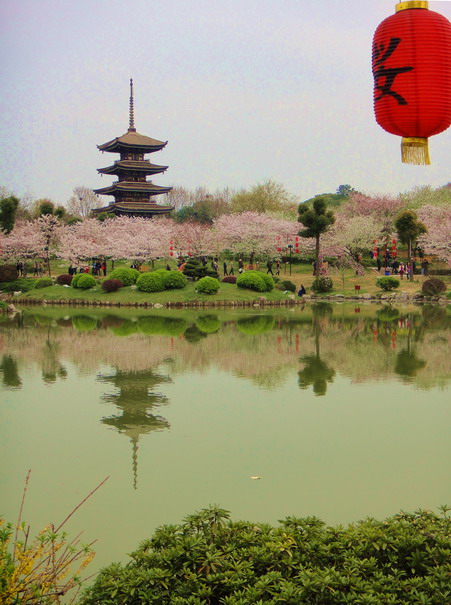 dsc05800.jpg
