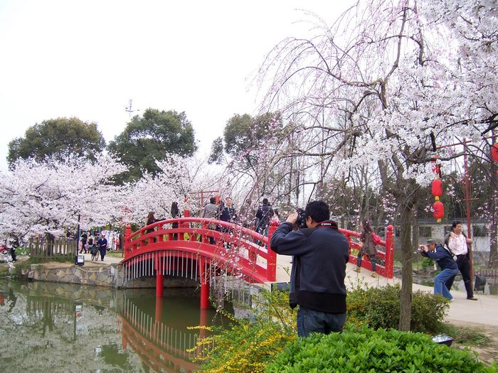 100_8505.jpg