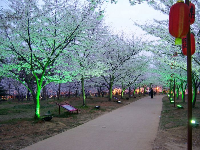 100_8528.jpg