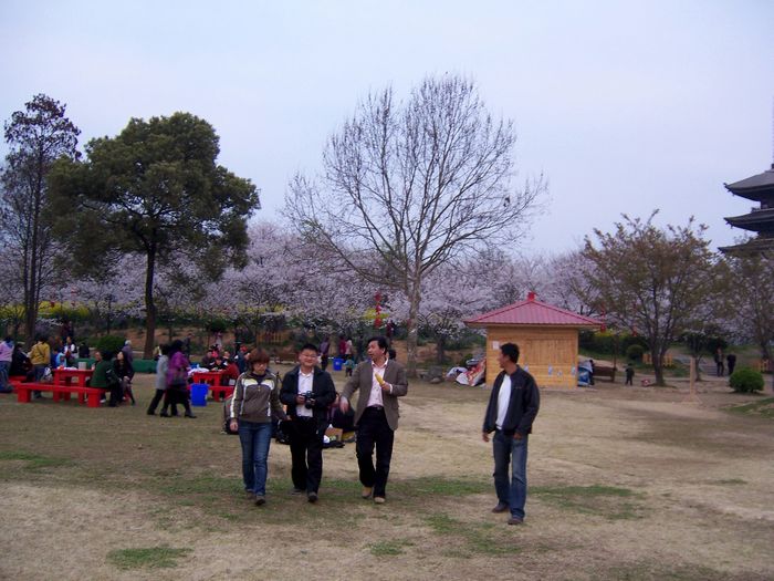 100_8525.jpg