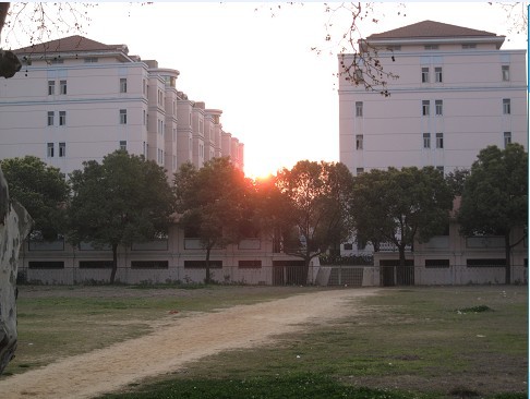 02.jpg