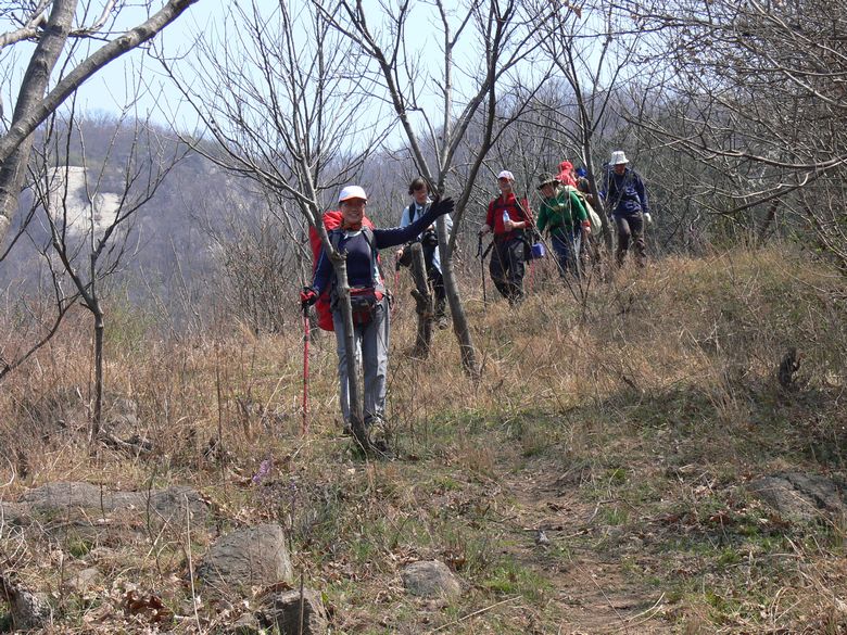 p1130953.jpg