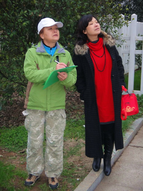 dsc03919.jpg