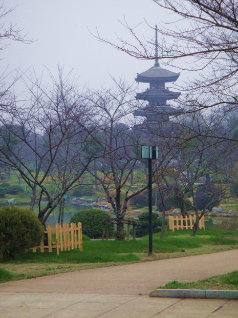 dsc03942.jpg