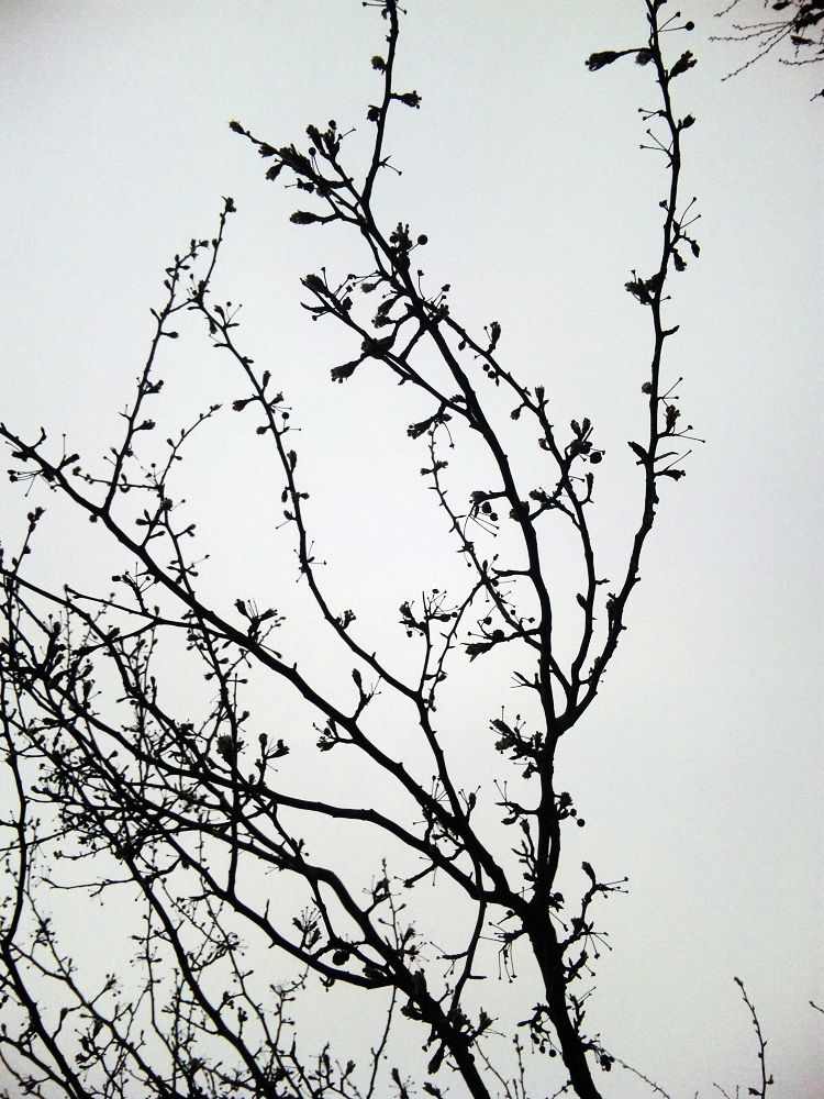 neo_img_dvc00010.jpg