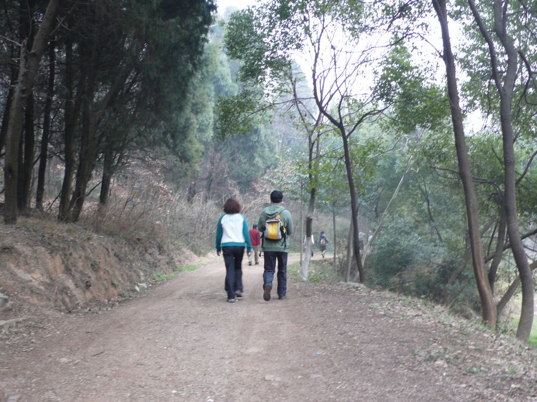 l1100029.jpg
